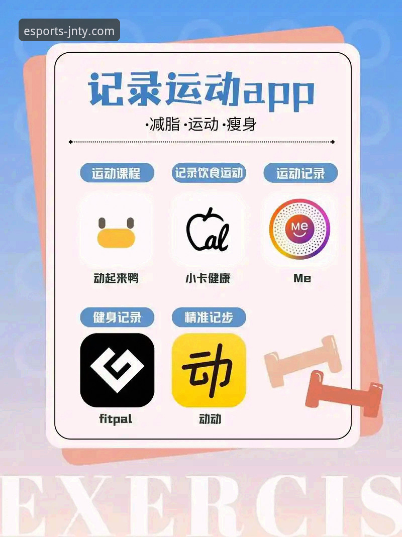 jnty体育平台App体验：从下载到精通的全方位使用指南